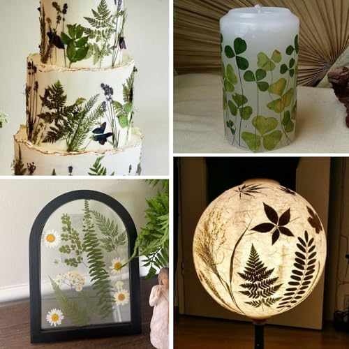 95 Piezas Hojas Secas Naturales para Manualidades DIY miniatura 4