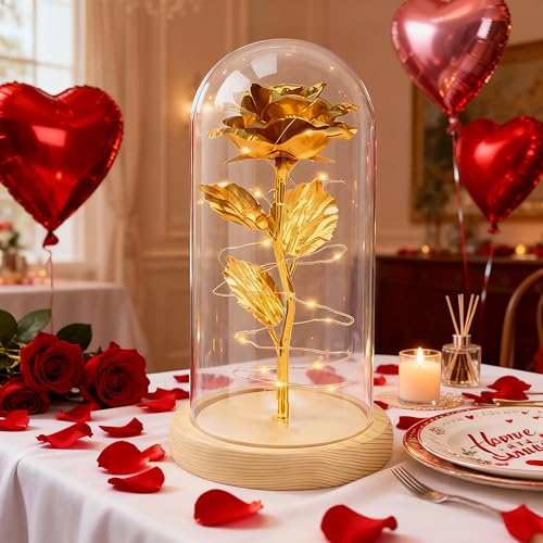 HipTree Birthday Gifts Decorations for Women,Christmas Rose Gifts for Mom