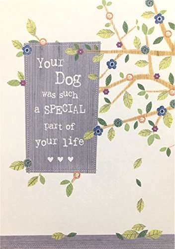 Biglietto Di Condoglianze Per La Perdita Del Tuo Cane Amazon It Giochi E Giocattoli