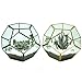 Glass Terrarium Brass Pentagon Regular Dodecahedron Geometric Container, LoveNite Sphere Terrarium Desktop Planter for Succulent Fern Moss Air Plants (Gold)
