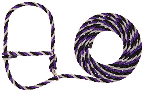 Halter de piel Weaver morado para salpicadero y cabezada de caballos 2