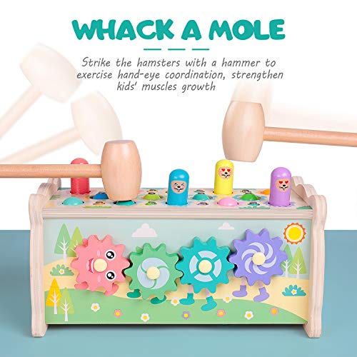 rolimate Hammering Pounding Toy Hamster Toy Xylophone Fishing Magnet Game, Montessori Early Educational Fine Motor Skill Toy , Best Birthday Gift for 3 4 5+ Years Boys Girls (2 Hammers Included)