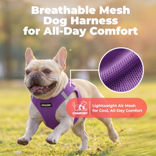 Image of Voyager Step-in Air Dog Vest Harness - Purple, X-Large