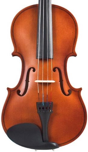 Amazon.com: Palatino vn-200 – 1/4 Genoa 200 violín, 1/4 tamaño :  Instrumentos Musicales