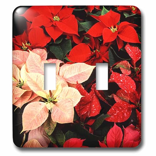 Poinsettia interruptor de doble palanca modelo 3dRose lsp_3310_2 2