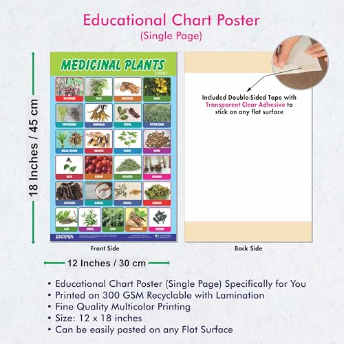 Image of ESCAPER Medicinal Plants Educational Charts for Kids, Charts for Kids Learning (11.5 x 17.5 inches), Kids Study Material, Kids Learning Books, Educational Posters