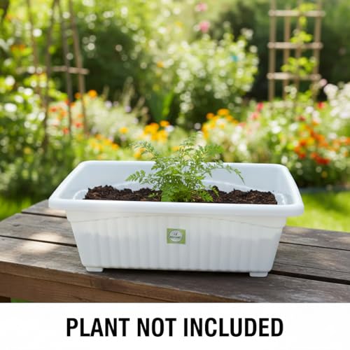 Image of Plastic Window Planters | Garden Planting Pots | Flower Plant Pots for Home Garden & Balcony | Flower Planters for Balcony and Terrace Gardens | Pack of 5 (White)