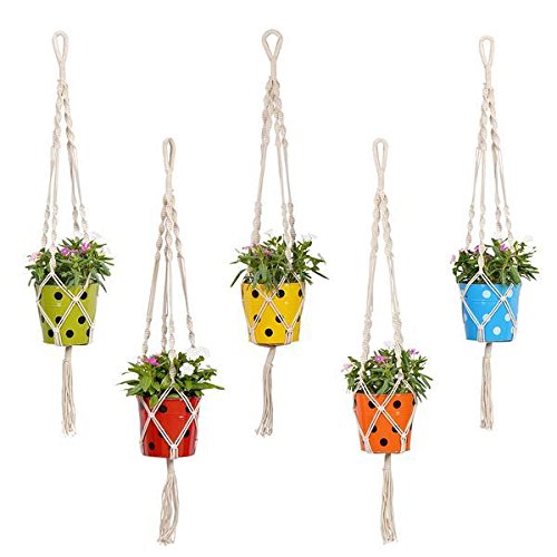 TrustBasket Round Dotted Pot with Macrame Cotton Contemporary Hanger – Set of 5 | Rope Flower Pot Holder for Indoor and Outdoor Hanging Planter Basket TrustBasket Round Dotted Pot with Macrame Cotton Contemporary Hanger – Set of 5 | Rope Flower Pot Holder for Indoor and Outdoor Hanging Planter Basket
