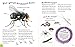 The Great Nature Hunt: Minibeasts