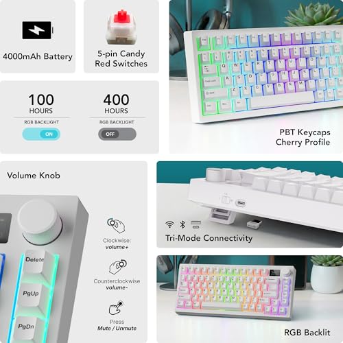 RGB Mechanical Keyboard Brown Switches