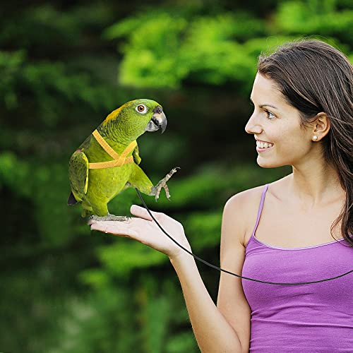 cobee Haustier Geschirr und Leine verstellbar für Papageien Vogel Trainingsseil Nylon verstellbar Vogel Geschirr und Leine für den Außenbereich geeignet für Papageien (gelb)