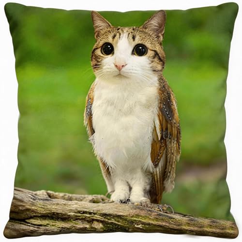 nedib eoj Meowl Pillow, Fun Meowl Meme Pillow, Valentine's Day Owl and Cat Pillows， Meowl Fun Pet Gift, Meowl Square Pillow Cove (30 * 30cm(11.8"*11.8"), with Background)