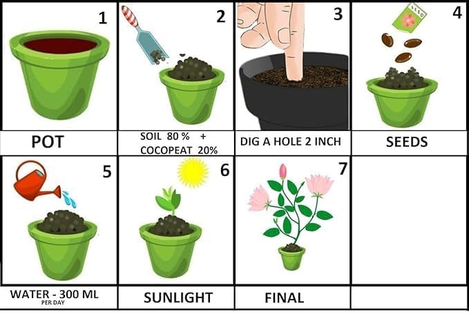 Image of Cucumber /Desi Kheera Seeds for Planting, High Yielding Seeds | 50 seeds per pack