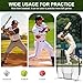 NEWBULIG 7x7ft Baseball Softball Net, Practice Pitching, Hitting/Batting/Pitching/Throwing, for Players of All Skill Levels Practice