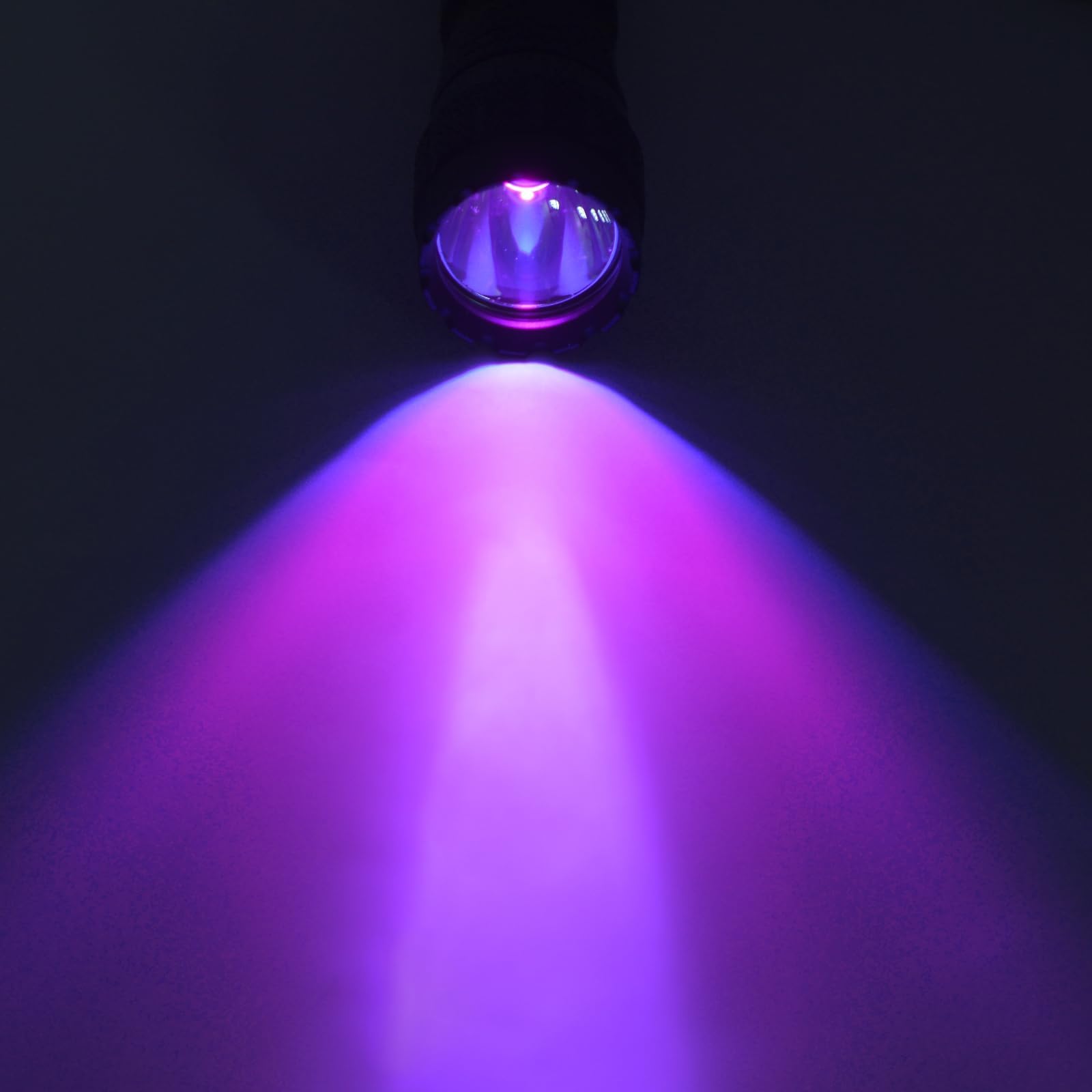 UltraFire Torcia UV 395 – 405 nm, luce nera, 10 W, luce singola UV, piccola lampada ultravioletta per resina indurente, caccia allo scorpione, macchie di animali domestici, 501UV-395 PRO