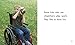 Some Kids Use Wheelchairs (Understanding Differences) (Pebble Books: Understanding Differences)