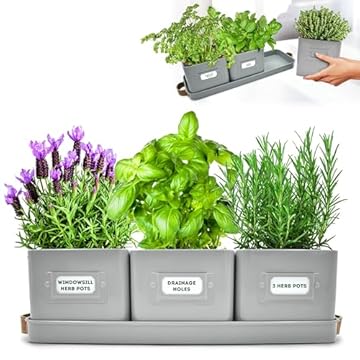 Top Indoor Plant Shelves That Will Transform Your Space 2 best indoor plant shelves with drainage holes