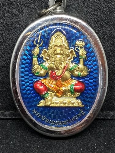 プラクルアン」の人気商品一覧 | 安い商品を通販サイトから探す - 価格.com