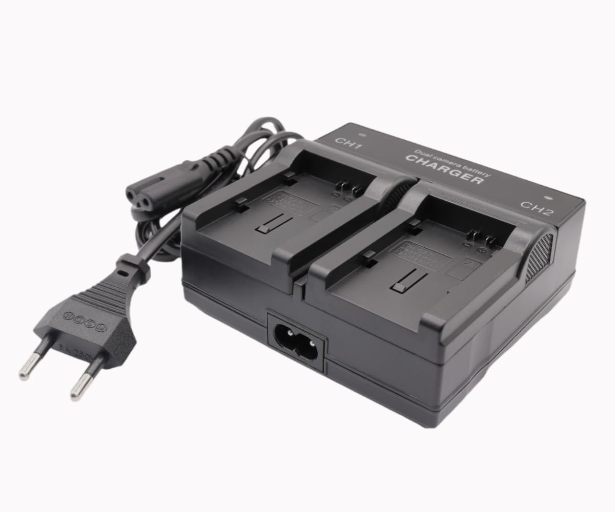 Dual-Channel Batterie Chargeur pour Canon BP-808 BP-819 BP-820 BP-827 BP-828 BP808 BP820 BP828 HF XA25 XA20 XA60 XA65 XA70 XA75 VIXIA HF G70 G60 G50 G40 G30 G10 Camera