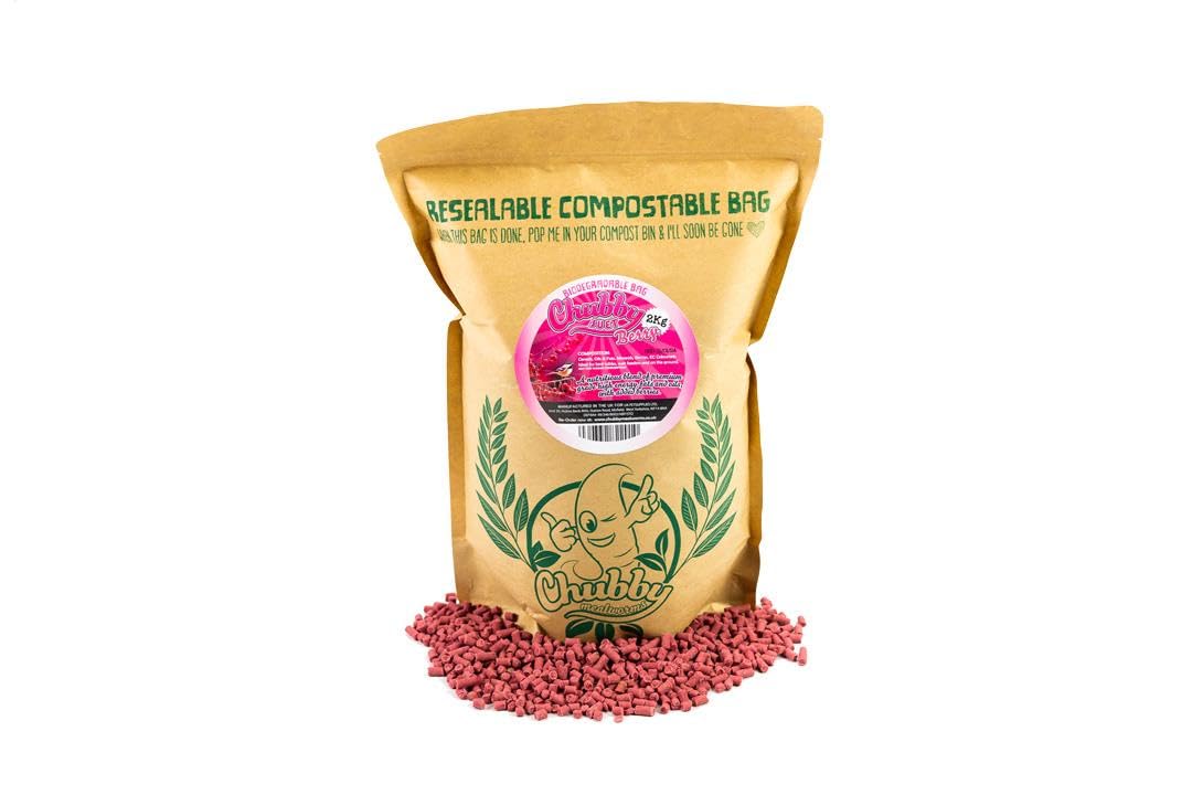 2Kg Chubby Berry Suet Pellets Wild Bird Food For Garden Birds