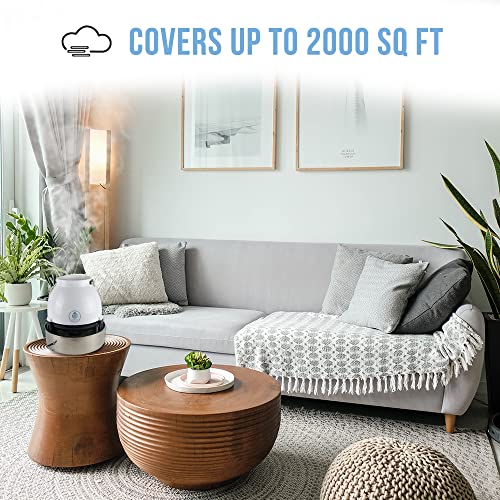 Dropair Humidifier Multdirectional Quiet Greenhouses Indoor Gardens #TOP3