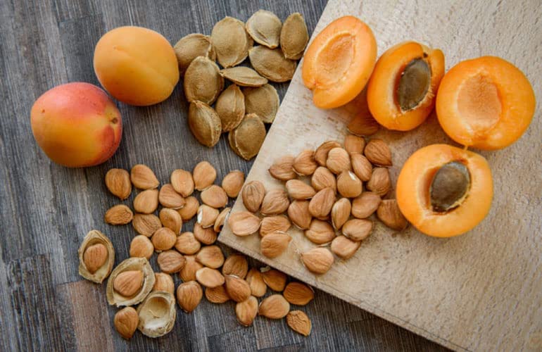 Organic Bitter Raw Apricot Seeds - Raw, Bitter, Vegan, Gluten-free, GMO-free 8 oz - Image 4