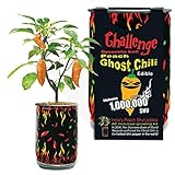 Peach Ghost Chili Pepper Grow Kit by Magic Plant - 1 Kit - Superhot Orange Bhut Jolokia, Ignite Your Dishes and Drinks, DIY All-in-One Grow Kit, 800K-1M SHUs, Indoor - Outdoor Gardens or Gift