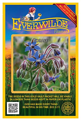 Everwilde Farms - 150 Borage Herb Seeds - Gold Vault Jumbo Seed Packet