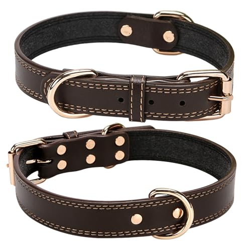 FUTUREORYY 2 ߉\ȃU[  ^ ƔL yʂŉKȑ ^obNt ybgJ[