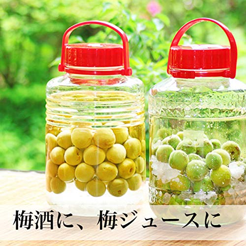 Amazon.co.jp: 青梅 梅酒用 南高梅 梅シロップ 梅ジュース サイズ無