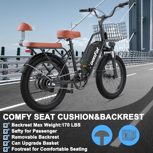 LoonFat T20 2-Seat Ebike