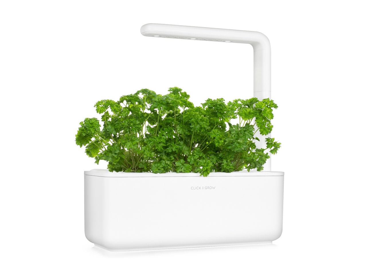 Click & Grow Perejil Rizado Cápsulas de Recambio, Kit de 3, Smart Garden | Smart Soil Patentado. Cápsulas listas para usar. Semillas y nutrientes ya incluidos. Crecimiento rápido