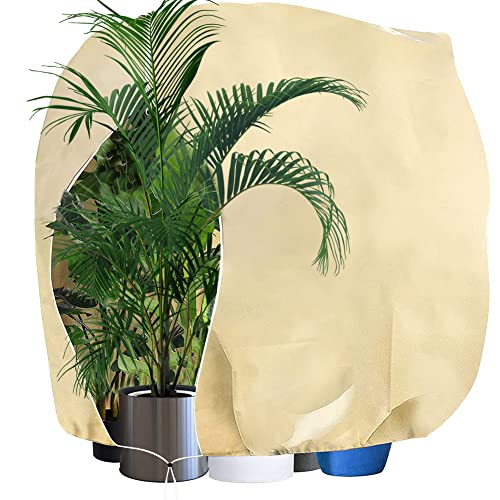 UDODIY Winterschutz für Pflanzen, 180x120cm Frostschutz Pflanzen Winter Pflanzenschutz Kübelpflanzensack Pflanzenschutzsack Frostschutzhaube für Oleander, Olivenbaum, Palmen, 80g/ m², Beige Cover