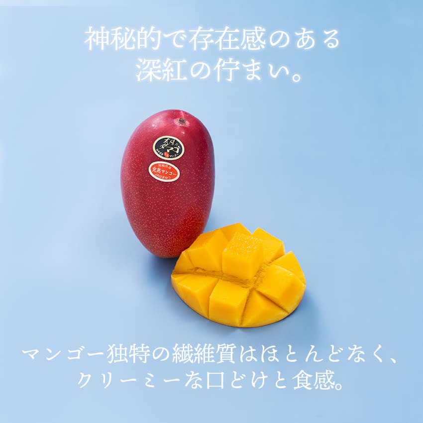 Amazon.co.jp: 南国フルーツ 宮崎産完熟マンゴー太陽のタマゴ 4L2玉