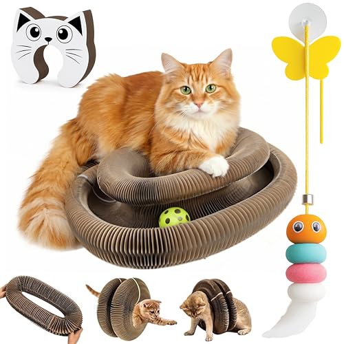 Kitty Curls Cat Toy (Large) Twisty Paws Kurlz | Magnetic Magic Organ Cat Scratcher | Interactive Cardboard with Bell Ball & Hanging Teaser | Honeycomb Design | 1 pcs Teaser 1 pcs Scratcher
