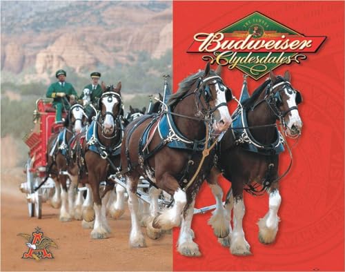 Desperate Enterprises Budweiser - Clydesdales Tin Sign - Nostalgic Vintage Metal Wall Décor - Made in USA
