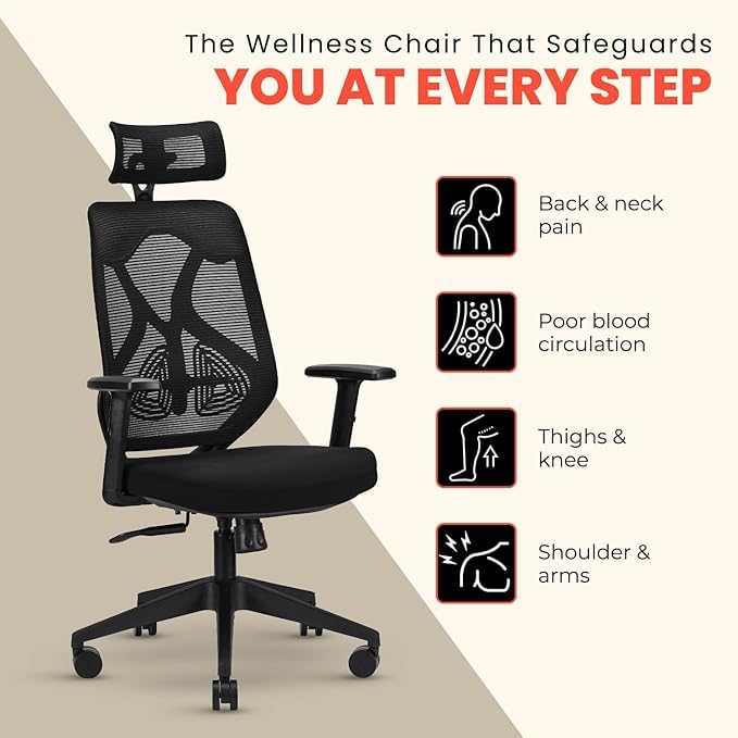 Iafa Furniture Ergolux Ergonomic Premium Office Chair Mesh Desk