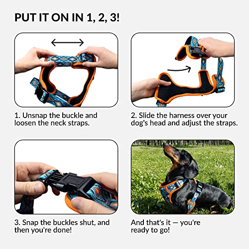 Collardirect No Pull Reflective Dog Harness With Handle And Front Clip, Adjustible Soft Padded Vest For Small To Large Dogs Training And Walk (Size S, Pattern Pt3) #TOP2