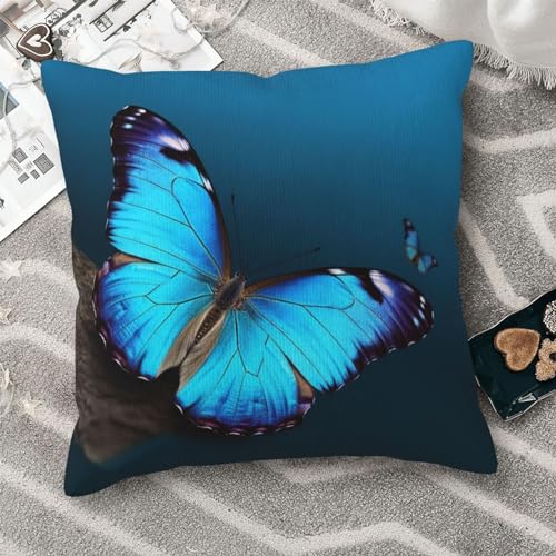 Housses de coussin papillon bleu décoratives double face 50x50 - 7