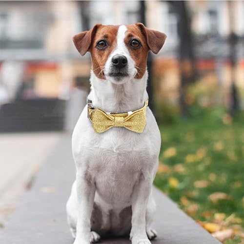 Miniatura 2 de Collar de Navidad para perro con lazo brillante, regalo lindo y divertido juguete de enriquecimiento para perros, accesorios para correa para