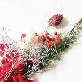 ハーバリウム 花材 クリスマス キットアロマキャンドル サシェ アクセサリーの花材にお花のキット