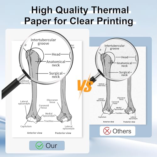 Image of Phomemo M832D Touchscreen Printers & 2 Rolls of Thermal Printer Paper 8.5 x 11 Inch, Wireless Thermal Inkless Printer Compatible with iOS, Android, PC