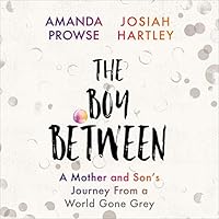 Algopix Similar Product 17 - The Boy Between A Mother and Sons
