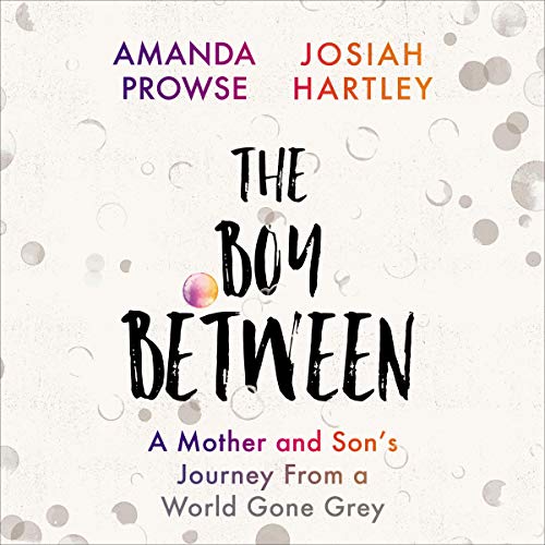 Listen to The Boy Between by Josiah Hartley, Amanda Prowse episode artwork