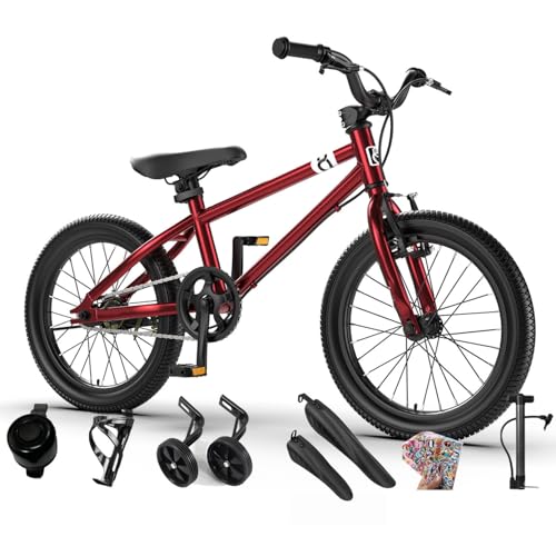 FYDN qǂp}EeoCN qp] 16C` / 20C` ߉\ c] LbYoCN j̎q/̎qjOoCN gݗĊȒP qp ʊw ʋ gݗĊȒP (nCnh,16C`-bh)