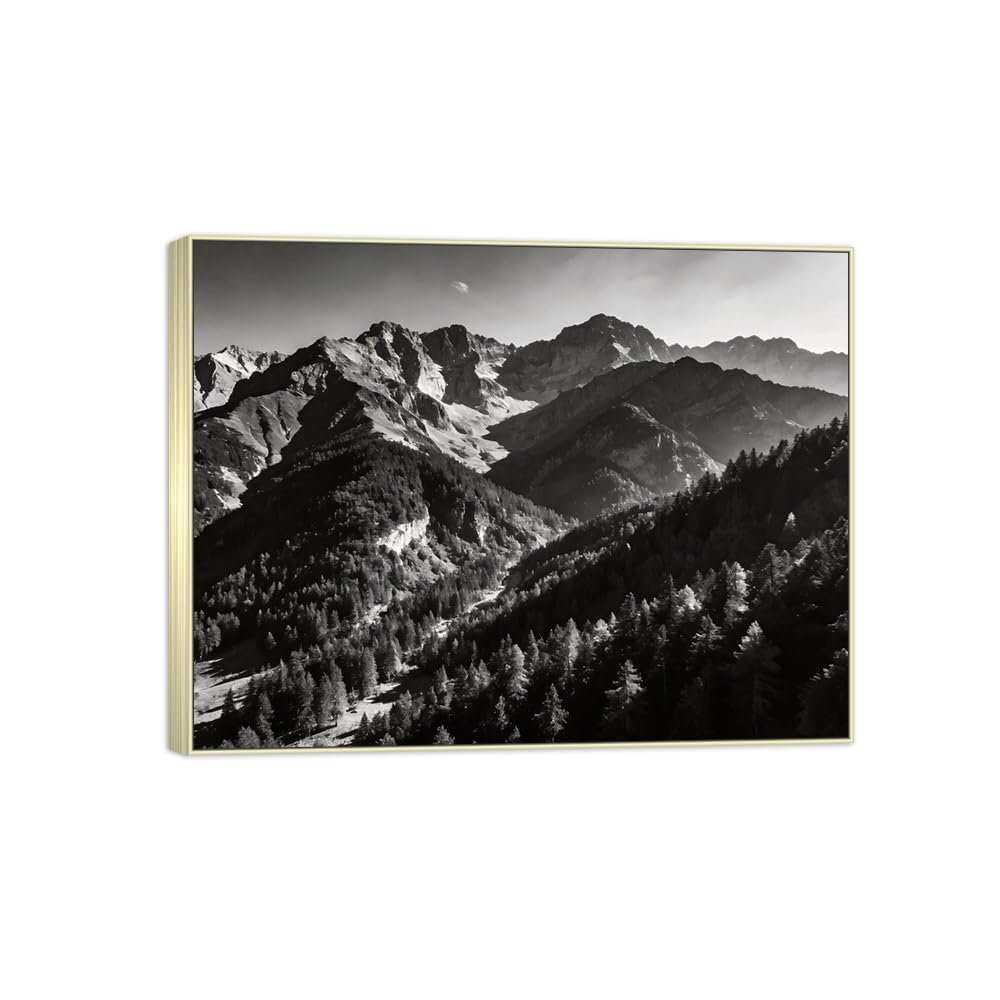 Tree Mountain 2 Black White Landscape Canvas Picture 90x117cm Silver Frame