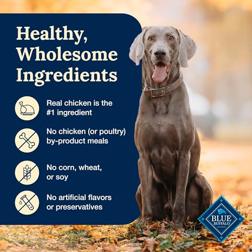 Blue Buffalo 185 Delectables Natural Wet Dog Food Toppers, Tasty Chicken Cuts In Gravy, 3-Oz. thumb #5