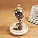Artlass Glass Bell Shape Display Dome with Wooden Base 8.6
