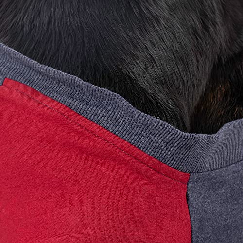 Image of Heads Up For Tails cotton Sweatshirt For Dogs (XS, Blue Melange and Red), 1 count