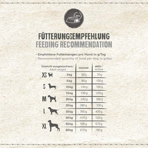 Belcando Adult Active [12,5 kg] Hundefutter | Trockenfutter für aktive Hunde & Sporthunde | Alleinfuttermittel für ausgewachsene Hunde ab 1 Jahr